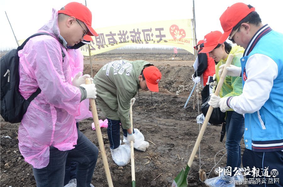 bat365在线官网圆满完成“保护青山绿水_共建大美龙江”千人公益植树志愿服务工作