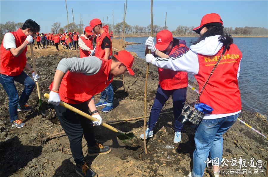 bat365在线官网圆满完成“保护青山绿水_共建大美龙江”千人公益植树志愿服务工作